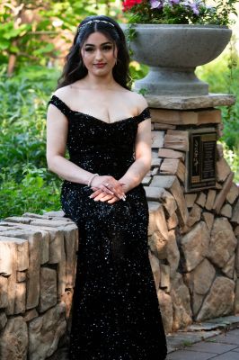 Keywords: gardens;cars;reflections