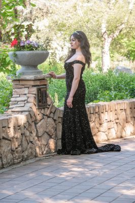 Keywords: gardens;cars;reflections