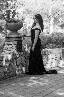 Keywords: gardens;cars;reflections