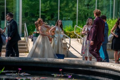 Keywords: gardens;cars;reflections