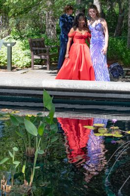 Keywords: gardens;cars;reflections