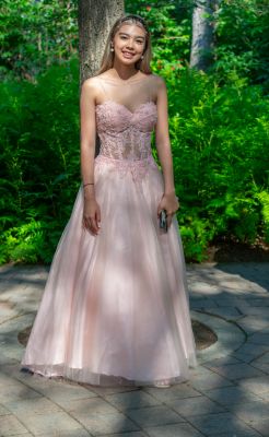 Keywords: gardens;cars;reflections