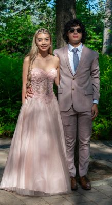 Keywords: gardens;cars;reflections