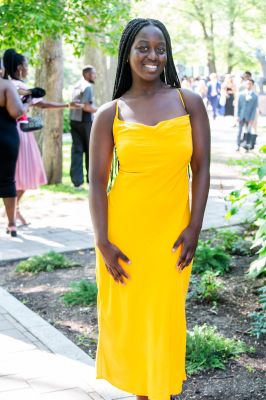 Keywords: gardens;cars;reflections